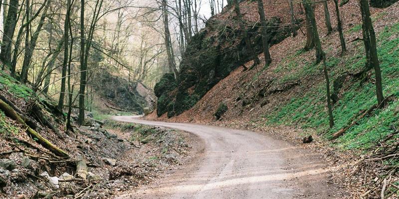 从排练室到聚光灯：如何策划并执行一场成功的舞蹈专场汇报演出或社区展演