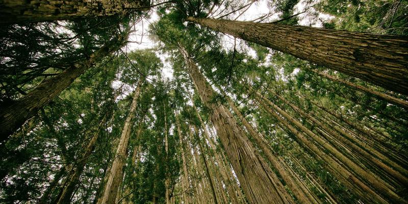 从舞蹈课程到舞者社区：构建舞蹈工作室的差异化竞争壁垒