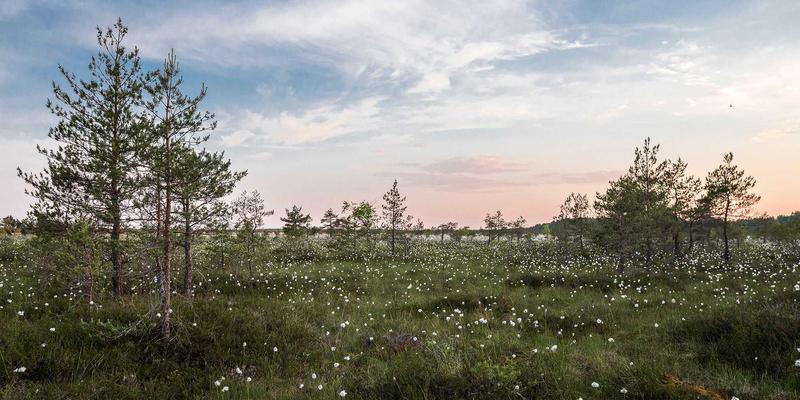 从零基础到舞台表演：成人舞蹈学习的四阶段教学规划