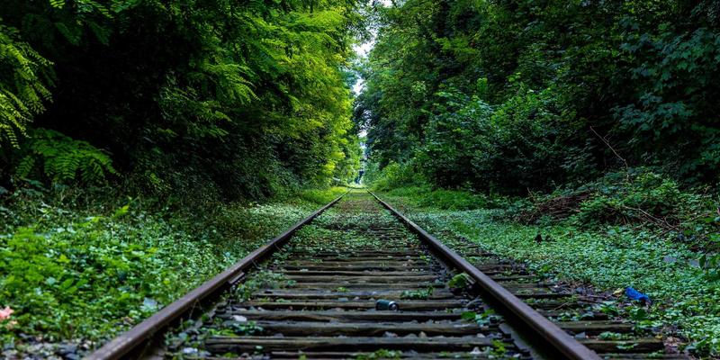 如何利用社交媒体营销与舞蹈资源，打造高转化舞者社区，引爆舞蹈培训招生