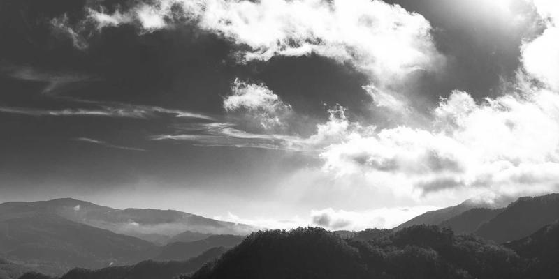 成人零基础舞蹈学习指南：克服心理障碍与设计高效入门课程