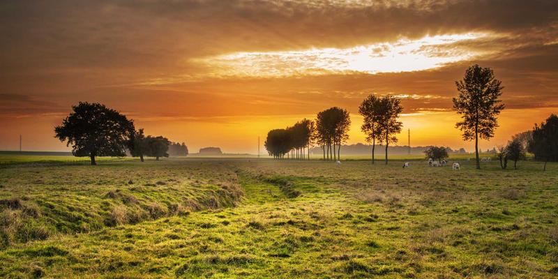 舞动未来：舞蹈培训机构选址与装修的三大核心策略，打造卓越舞蹈学习与舞者社区