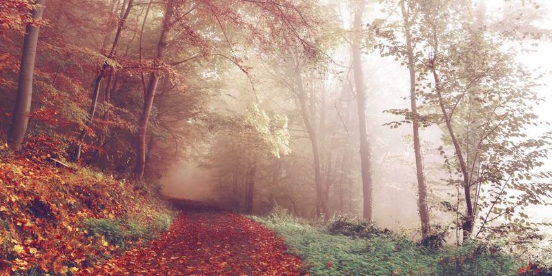 舞者必读：从热身到放松的标准化安全流程，打造健康舞蹈学习生态