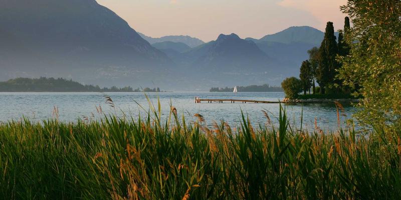 舞者社区新趋势：流行舞种短期集训班的课程设计与市场吸引力深度解析