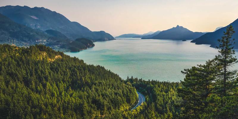 舞者社区：舞蹈培训的进化与舞蹈学习的新生态