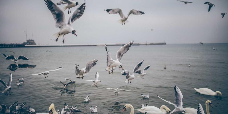 舞者社区：连接舞蹈培训、学习与活动的活力生态圈