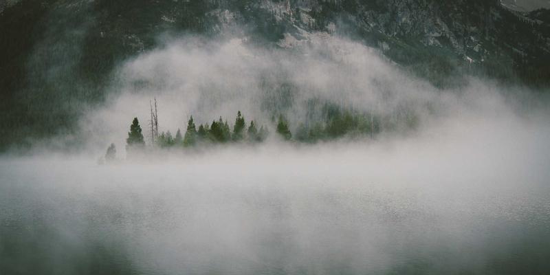 舞蹈培训55：解锁舞蹈活动、资源与学习的黄金法则