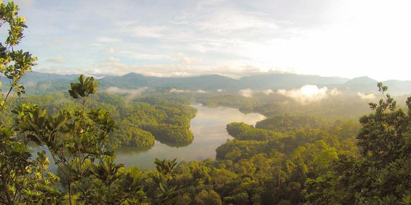 舞蹈培训57:从系统学习到社区共建,开启你的舞者成长之旅