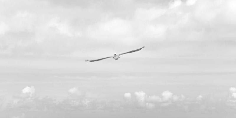 舞蹈培训91：解锁优质舞蹈资源与课程，开启专业舞蹈学习之旅