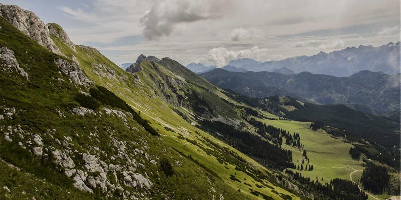 舞蹈培训是什么？解锁舞蹈活动、资源与成长的完整指南