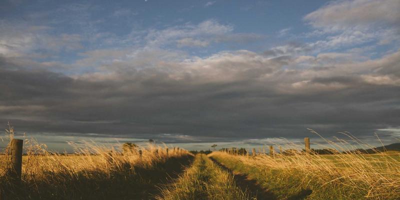 舞蹈课程中的双刃剑：科学分析考级与比赛对舞蹈学习的深远影响