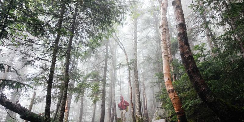 舞蹈课程资源整合新路径：培训机构如何与学校、企业实现跨界共赢